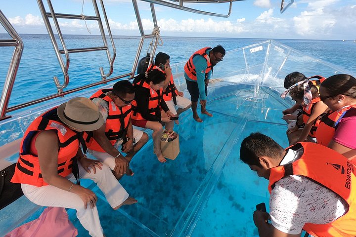 ClearBoat Reef Viewing: operator photo