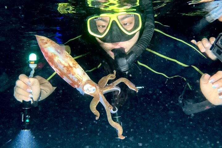 Night Snorkeling For Octopus: operator photo