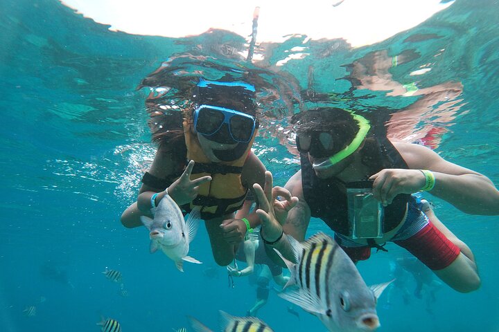 Chankanaab Park And Guided Snorkel: operator photo